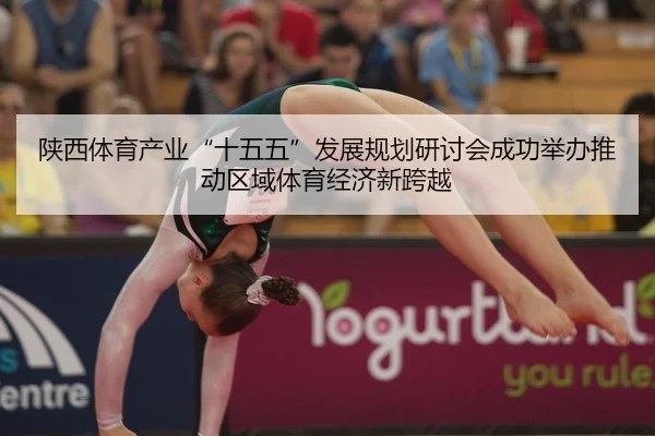 陕西体育产业“十五五”发展规划研讨会成功举办推动区域体育经济新跨越