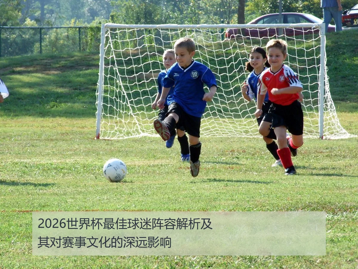 2026世界杯最佳球迷阵容解析及其对赛事文化的深远影响